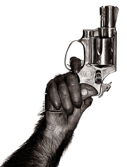 monkey with a gun by albert watson