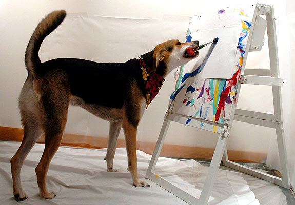рисующая собака dog painter