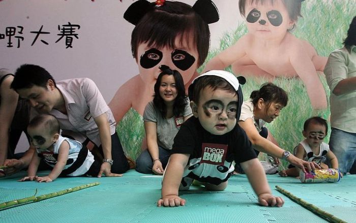 дети переодетые панды гонгконг