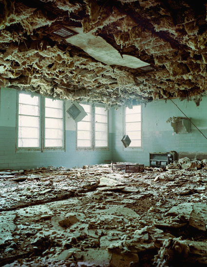 suzy poling