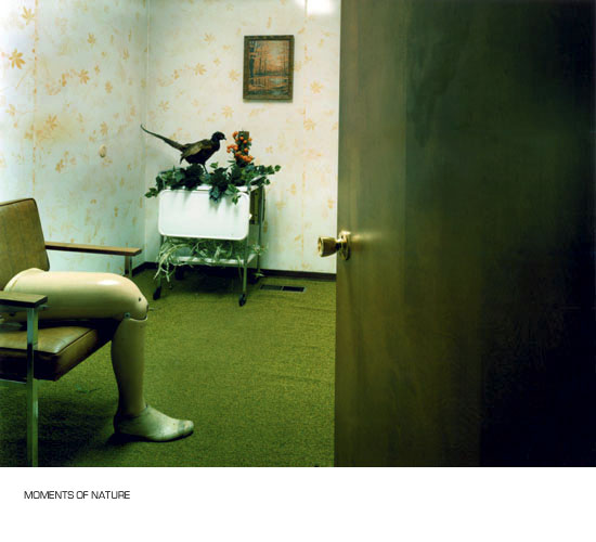 suzy poling