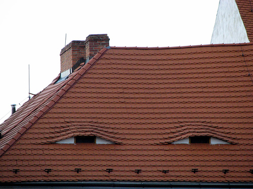 A photographic collection of faces found in everyday places