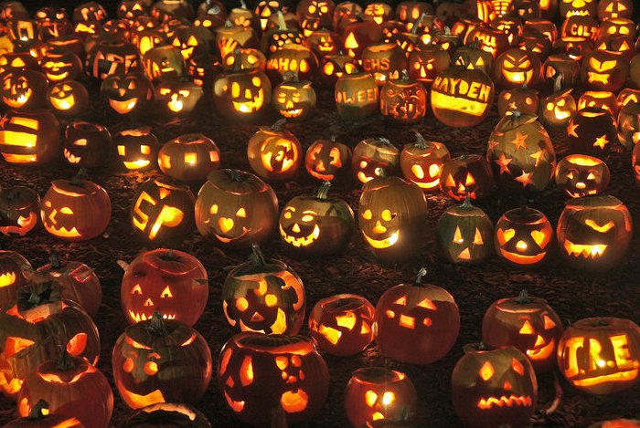 halloween pumpkins хэллоуин и тыквы