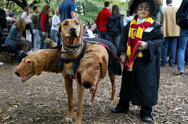 оригинальные костюмы на хеллоуин гарри поттер и трех-головая собака - a litte boy with three-headed dog, fluffy, from the harry potter series
