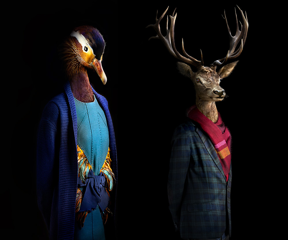 Портреты животных в одежде человека от Miguel Vallinas