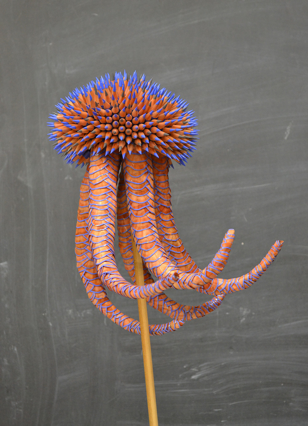 Морские организмы из карандашей от Jennifer Maestre