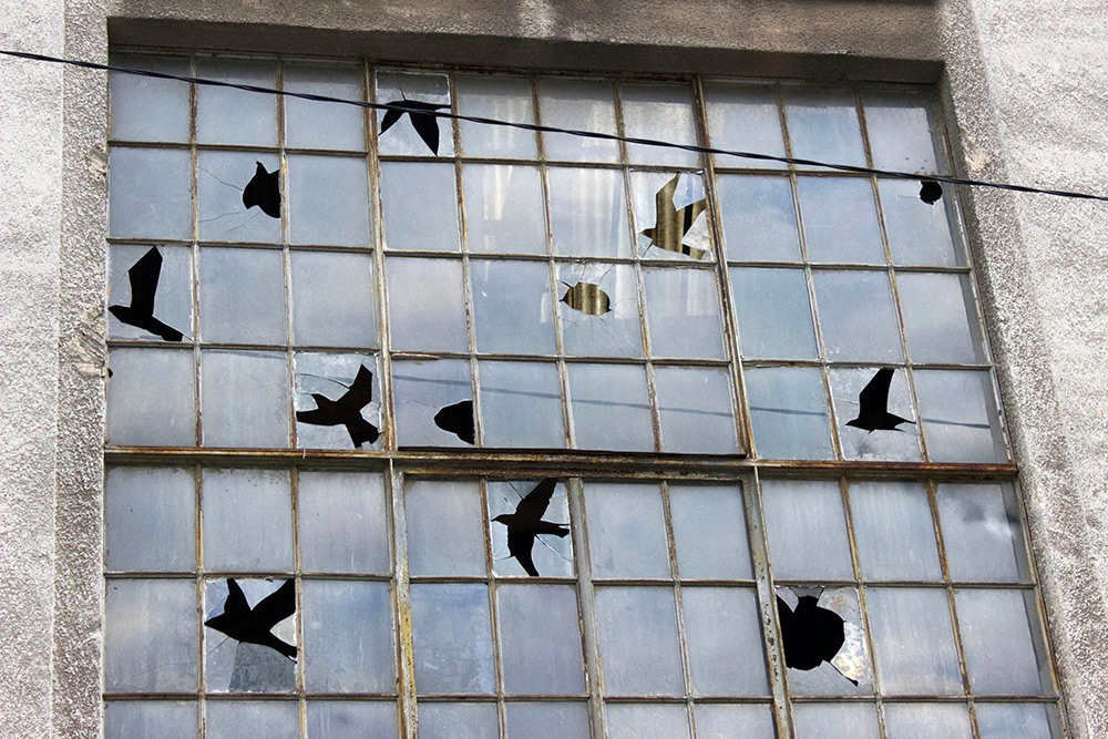 Выбитые окна в форме стаи птиц