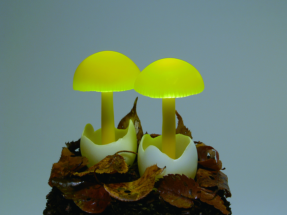 Светящиеся грибы от Yukio Takano