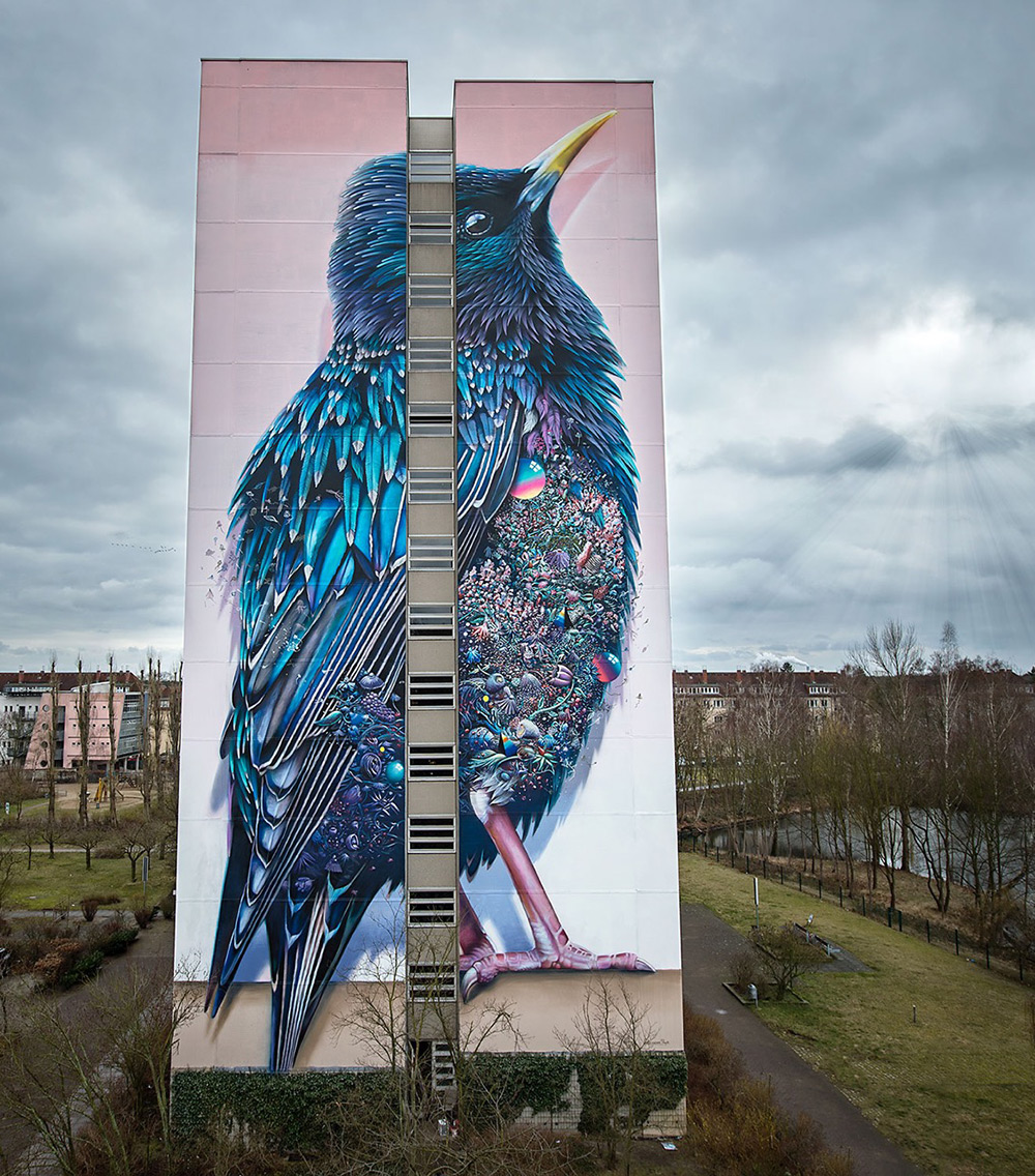 Граффити огромного скворца на доме в Германии