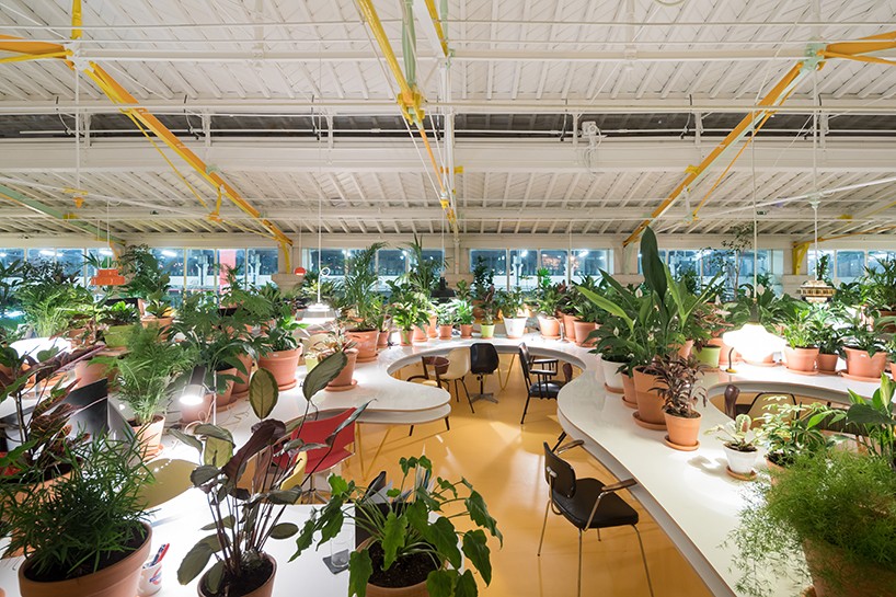 Коворкинг-центр с 1000 растений в Лиссабоне