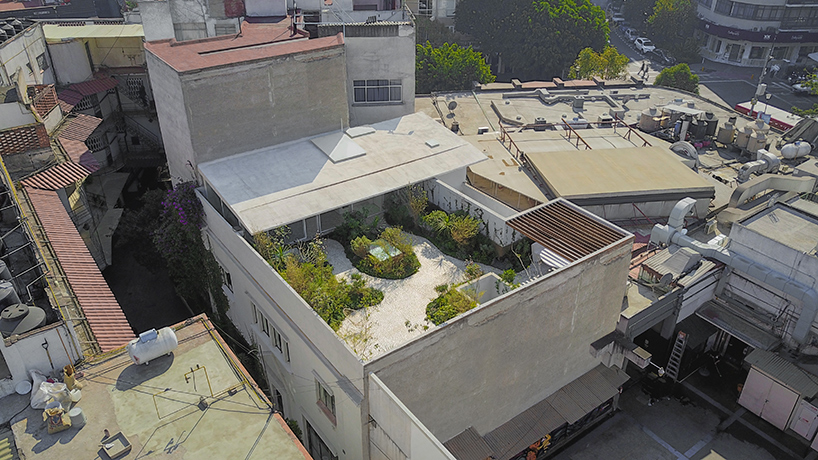 Частный дом с садом на крыше в Мексике