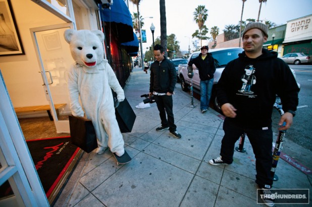 polarbear_thehundreds7-618x411.jpg