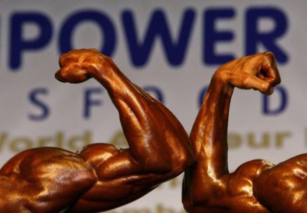 bodybuilding championship in budapest