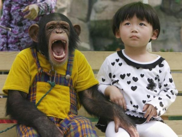 девочка и обезьяна в зоопарке шанхая