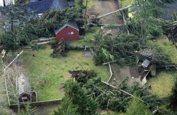seaside oregon powerful storm - поваленные деревья в штате орегон