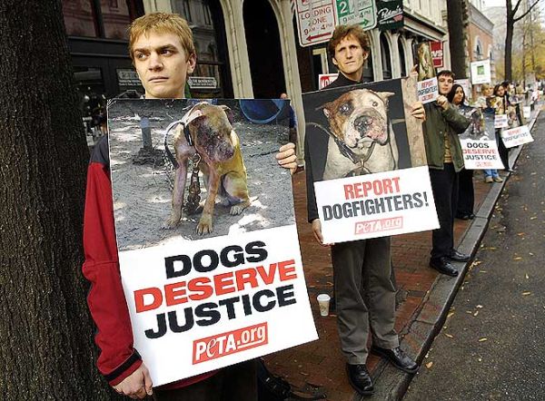 акция против жестокого обращения с животными