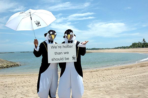 глобальное потепление уничтожает пингвинов