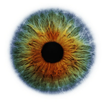 Eyescapes пейзажи глаз от Rankin