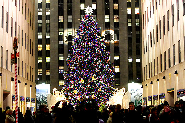 рождественская елка на площади у рокфеллер-центра