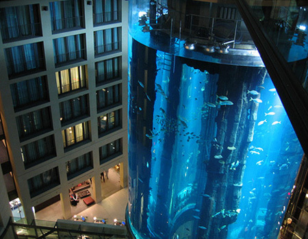 из самых больших в мире аквариумов 