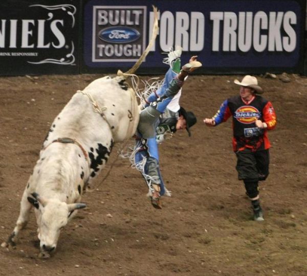 rodeo_madisonsquaregarden05.jpg