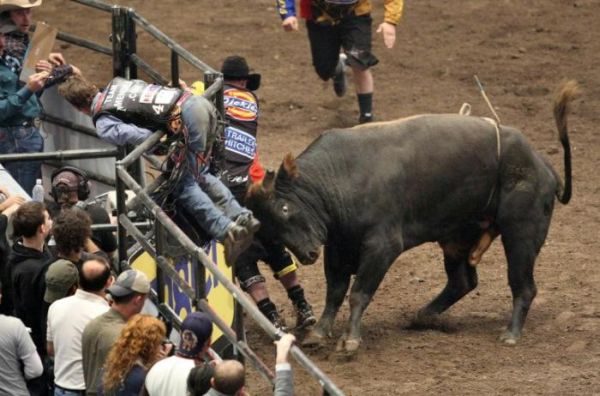 rodeo_madisonsquaregarden11.jpg