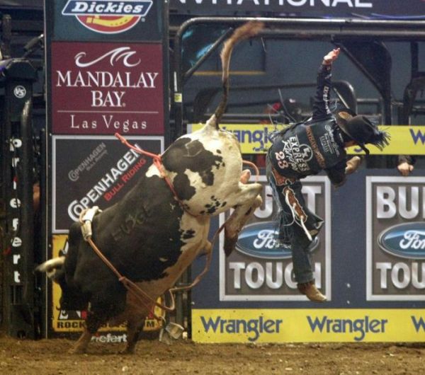 rodeo_madisonsquaregarden14.jpg