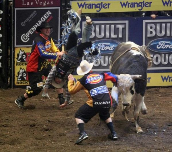 rodeo_madisonsquaregarden16.jpg