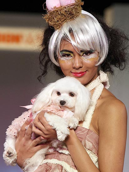 pet fashion week in tokyo