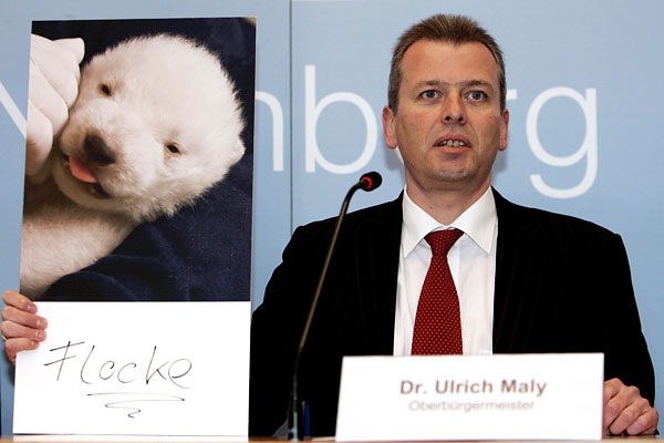 Мэр Нюрнберга Ulrich Maly выступает на пресс-конференции было объявлено об имени белого медвежонка