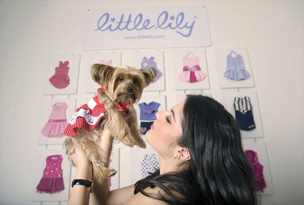 little lily pet fashion label presents oscar awards red carpet for dogs