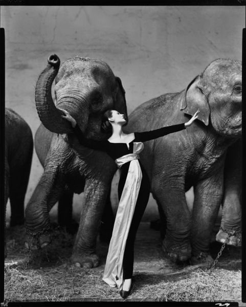 Фотография модели со слонами для дома Christian Dior