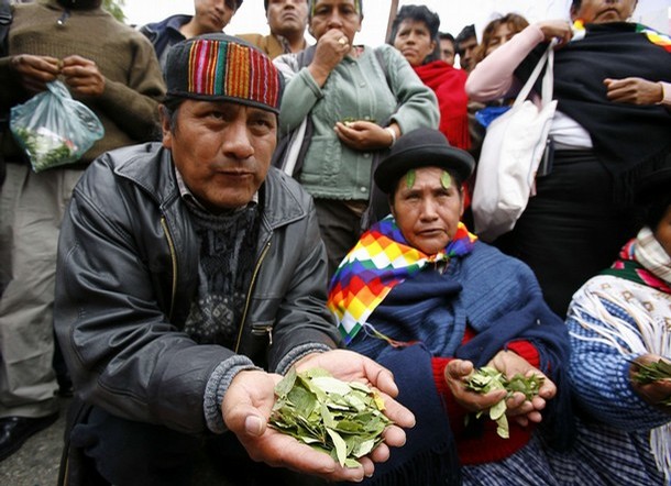 протест в защиту листьев коки в боливии