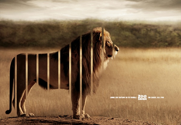 рекламные плакаты сафари-зоопарка zoo safari