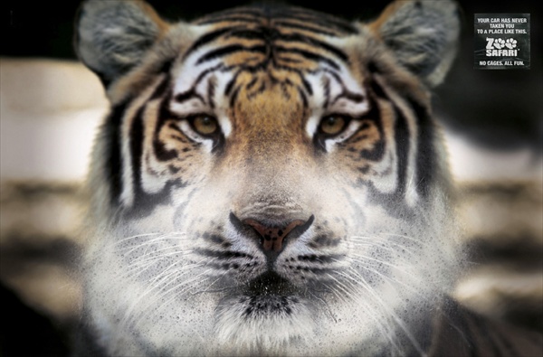 ddb brazil ad campaign for zoo safari 2007