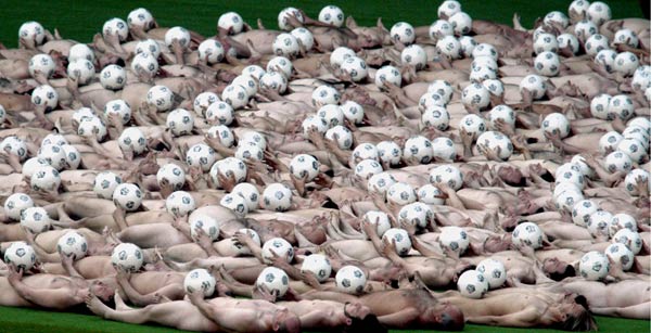 2008 naked people at ernst-happel stadium in vienna