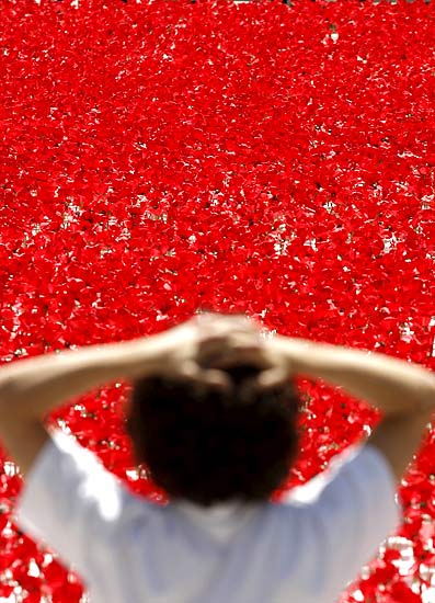100,000 poppies, Arrival of the summer celebration, Madrid, Spain