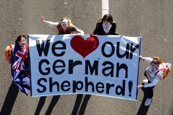We Love Our German Shepherd