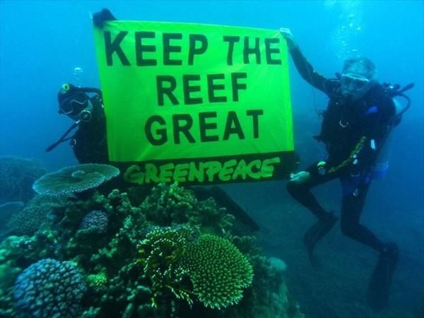 Гринпис сообщает об опасности разрушения Большого барьерного рифа