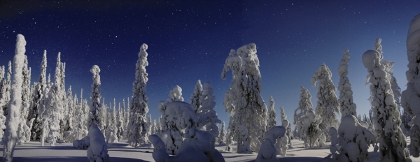 Frozen Horizon Landscapes from Oulu Province 