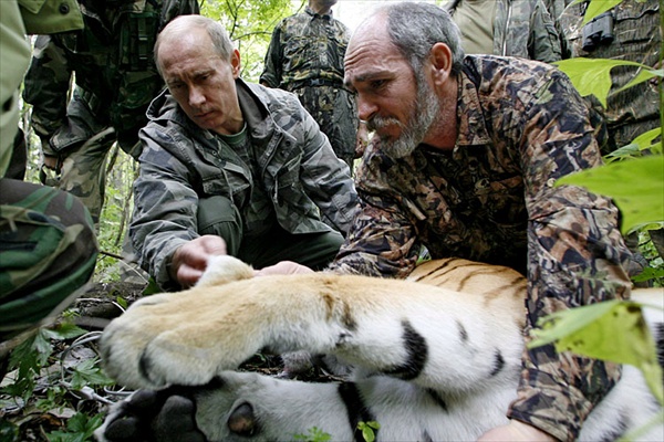 Путин усыпил тигра