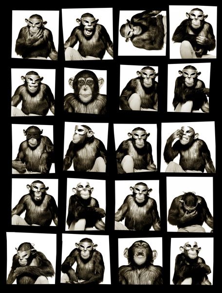 albert_watson26_monkeys_with_mask_newyork_1994.jpg