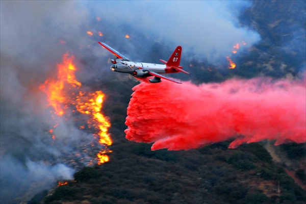 Очередной пожар в Лос-Анджелесе уничтожил около 800 гектаров леса