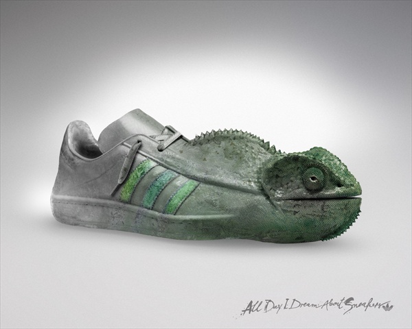 adidas_chameleon.jpg