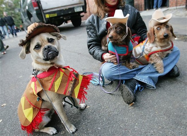 halloween_dogs_parade42.jpg