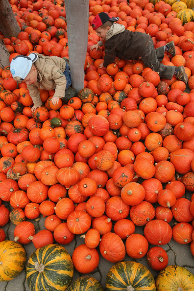 halloween_klaistow_germany_pumpkin_mania3.jpg