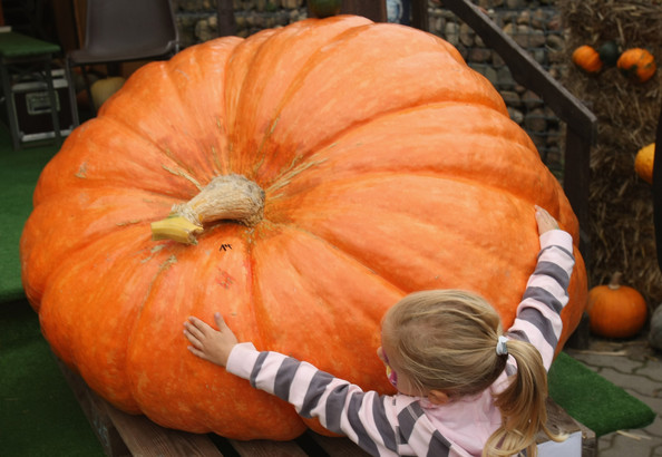 halloween_klaistow_germany_pumpkin_mania6.jpg