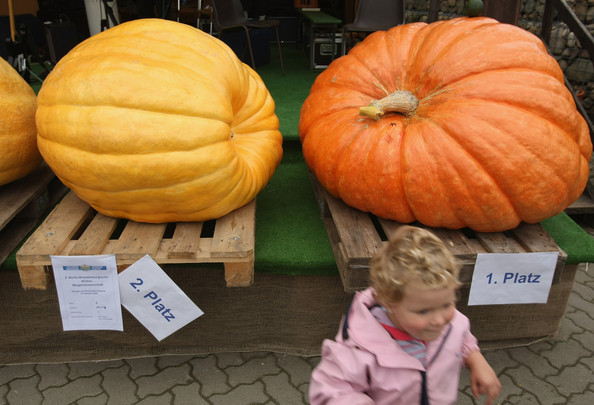 halloween_klaistow_germany_pumpkin_mania7.jpg