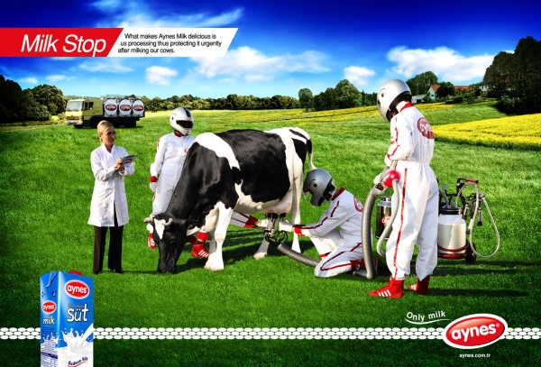 Реклама молока Aynes про нежность к коровам