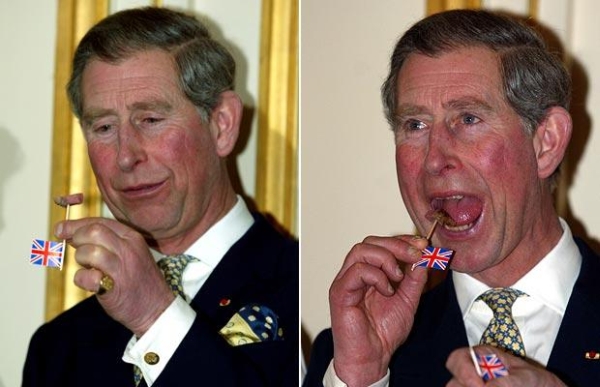 Prince Charles9.jpg